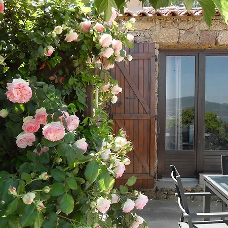 A Mandria Semesterbostad Porticcio (Corsica)